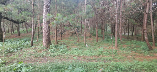 WhatsApp Image 2026 01 16 at 3.40.11 PM (2).jpg