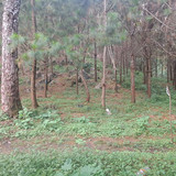 WhatsApp Image 2026 01 16 at 3.40.11 PM (2)