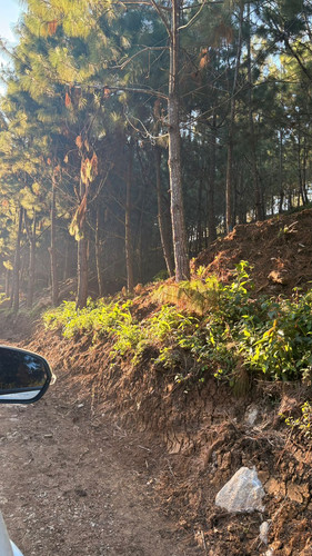 WhatsApp Image 2026 01 16 at 3.39.40 PM.jpg