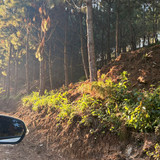 WhatsApp Image 2026 01 16 at 3.39.40 PM