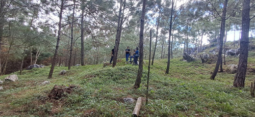 WhatsApp Image 2026 01 16 at 3.40.10 PM (2).jpg