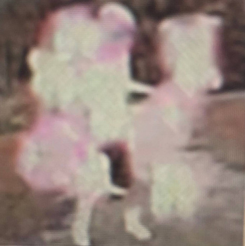 photo 5 2026 01 17 02 30 06.jpg