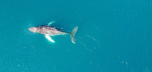 G y47rUbQAAFbdR?format=jpg.jpg