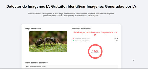 Detector de Imágenes IA Gratuito Identificar Imágenes Generadas por IA Mozilla Firefox.jpg
