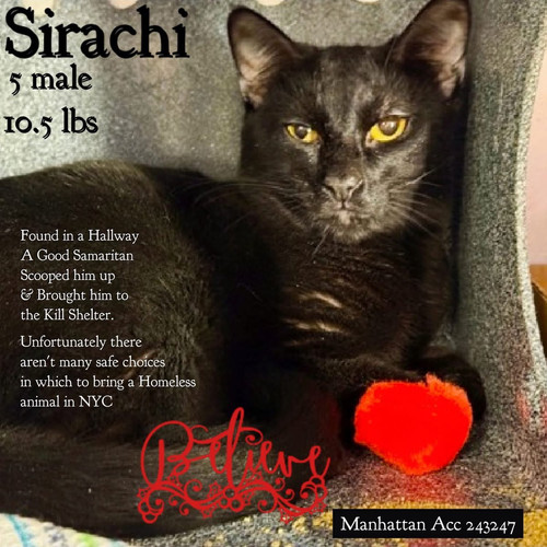 G wZd3kbQAgZLt9?format=jpg.jpg