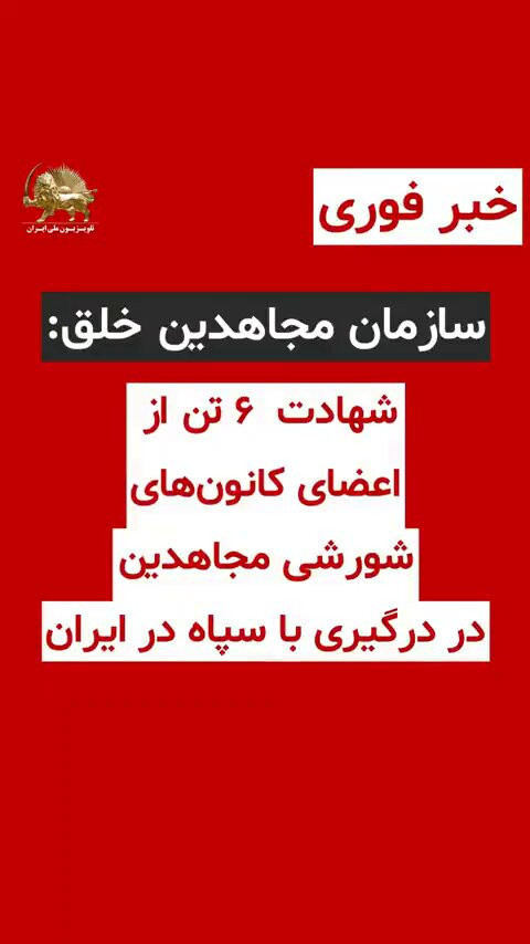 P4MrL kuplziwSRC.jpg