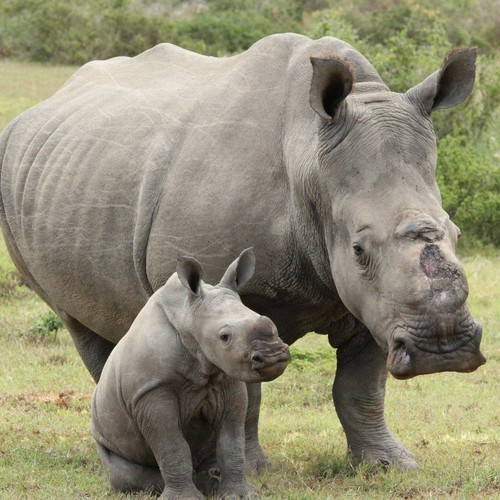 G hpTIQXYAA1uxM?format=jpg.jpg