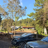 WhatsApp Image 2026 01 16 at 3.45.09 PM