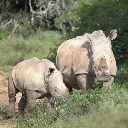 G hpTMHWQAAAvi5?format=jpg.jpg