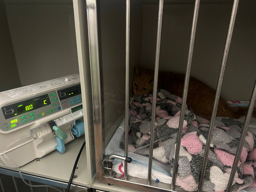 G w1kHUbkAAx4Vz?format=jpg.jpg