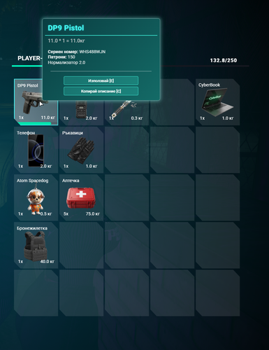 FiveM GTAProcess 5q0pmnQ6nK.png