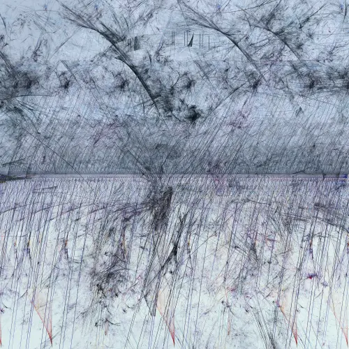 Nobody I Know Considers Their Future Nor The Consequences Of Their Actions, Impulse Always Becomes T.webp