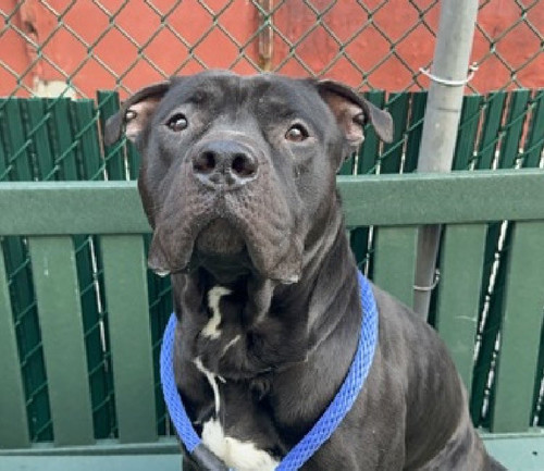 G tD 8OXQAAQSll?format=jpg.jpg