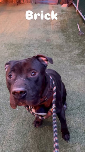 As9i4gvbFmLi b1L.jpg