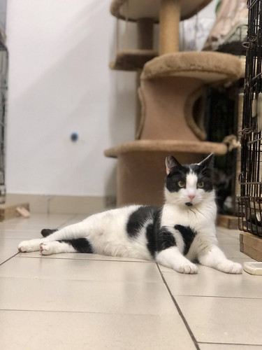 G y6HhSbYAAvgHA?format=jpg.jpg