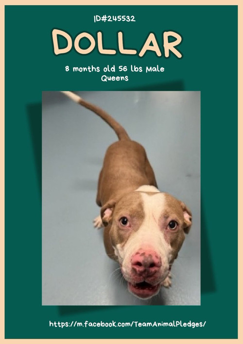 G zGuu9WIAAod21?format=jpg.jpg