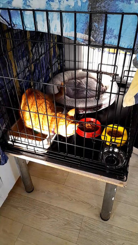 RfGRDSo 1TrRyTwG.jpg