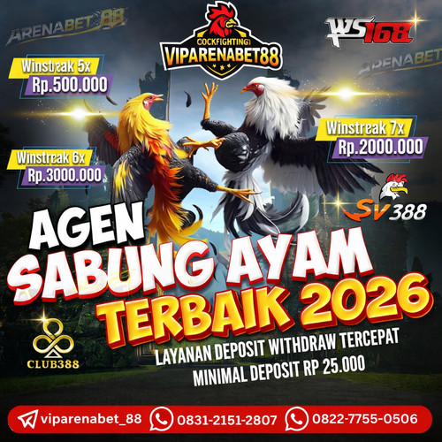 SABUNG AYAM ONLINE | BONUS WINSTREAK 6X | BANDAR SABUNG AYAM TERPERCAYA | BONUS WINSTREAK SABUNG AYA.jpg