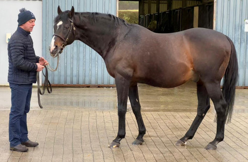 G zef8VWMAAlmoB?format=jpg.jpg