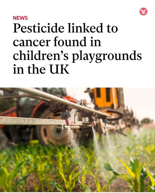 G xFvfcbQAQmcY7?format=jpg.jpg