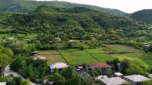 bUnuCu aVGN 55DL.jpg