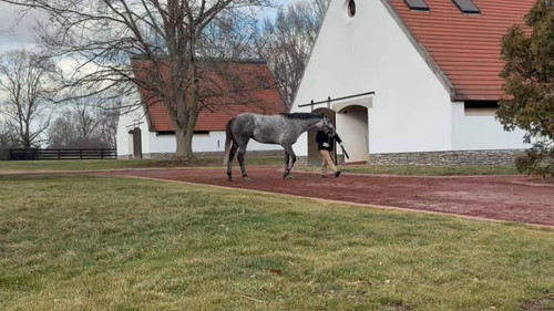 2EBsy 4WN7y9cbtS.jpg