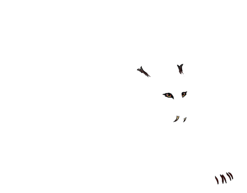 Untitled466 20260116153103.png