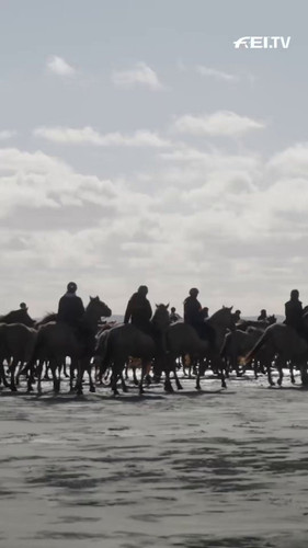 LWB d7A79XMHoNJM.jpg