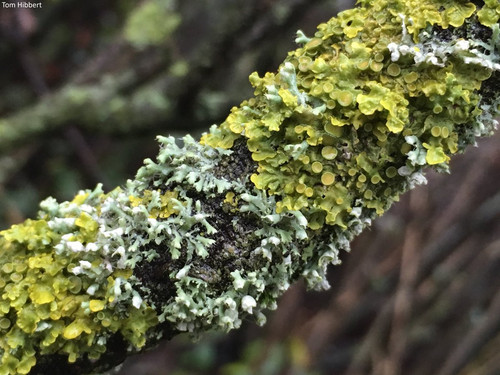 G sVTiHaQAAz y1?format=jpg.jpg