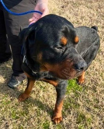 G vZYCHbsAAatg6?format=jpg.jpg