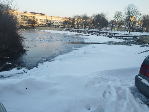 IMG 20260117 163639.jpg