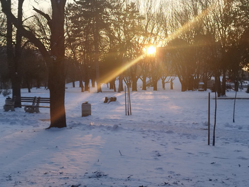 IMG 20260117 163214.jpg