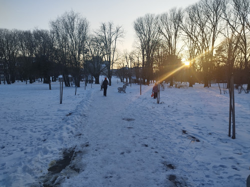 IMG 20260117 163042.jpg