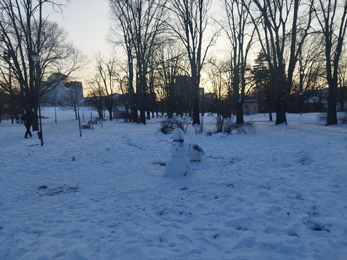 IMG 20260117 163019.jpg