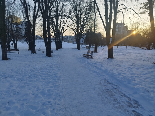 IMG 20260117 162846.jpg