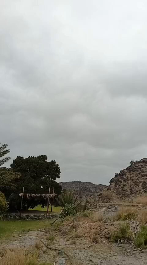 2NwU8xML ZxD0SL .jpg