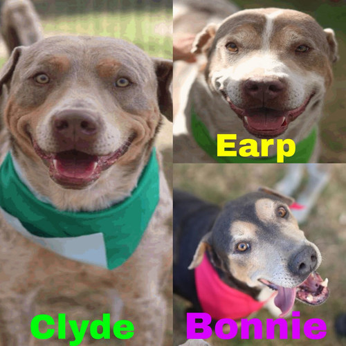 G 5cPzqXsAA pwi?format=jpg.jpg