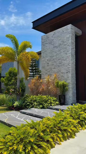 YRT znAJs7fFguKv.jpg