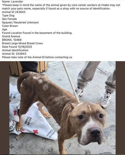 G8WCXXNWkAIGS l?format=jpg.jpg