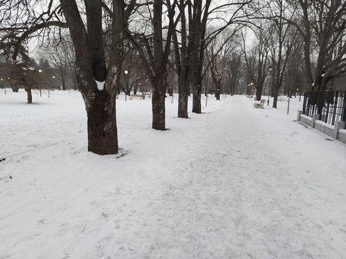 IMG 20260118 074206.jpg