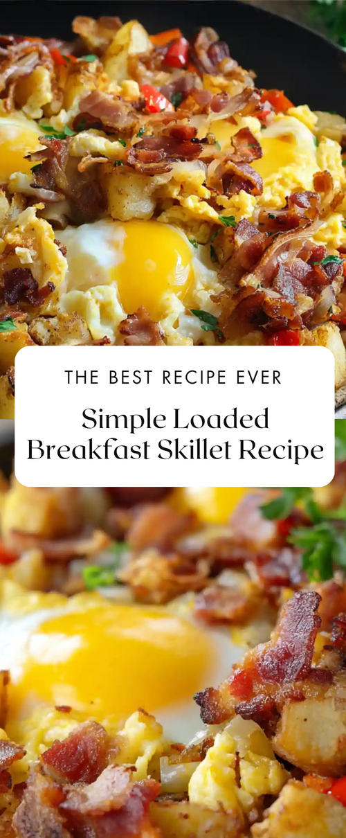 6d4e0233 6fcf 414b 8fac 11fca3b1e03d.png