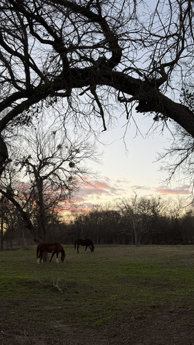 G zV1FNXEAA0h k?format=jpg.jpg