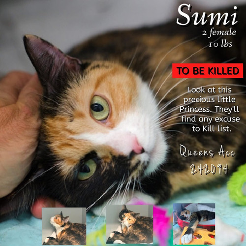 G wZSl7akAAfLD1?format=jpg.jpg