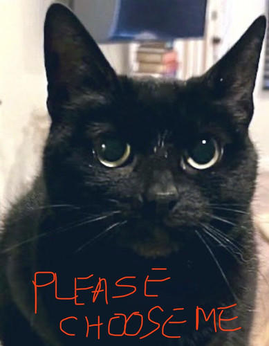 G uYpvlWAAAxNxd?format=jpg.jpg