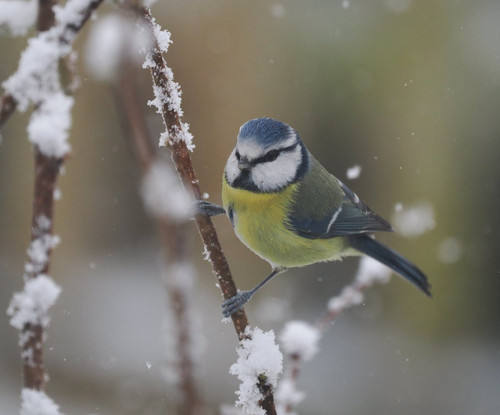 G 2VHpFWUAAlNgo?format=jpg.jpg