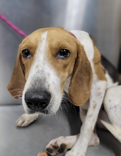 G yrsl9agAA jNe?format=jpg.jpg