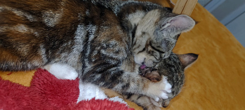 IMG 20260117 201452.jpg