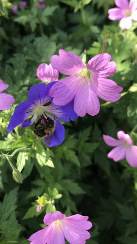 G 2T9l9W0AAO kQ?format=jpg.jpg