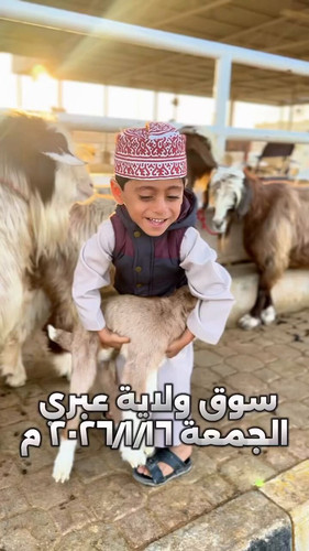 S1jAU0B Vt75 7Pl.jpg