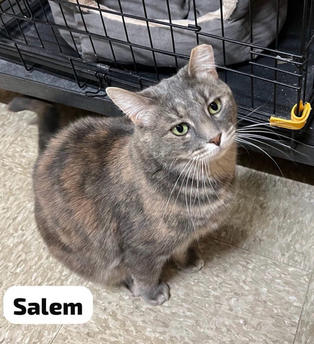 G 1GUxBWcAAXm6A?format=jpg.jpg